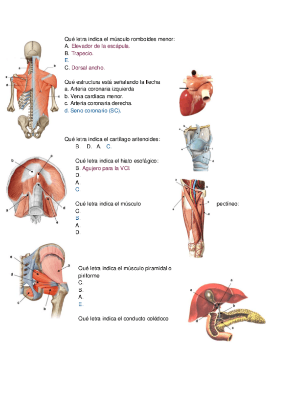 Miniatura del documento Examen-practico-final-EFCH-I.pdf