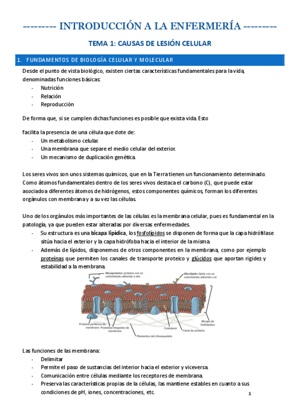 Miniatura del documento TEMA-1-INTRO.pdf