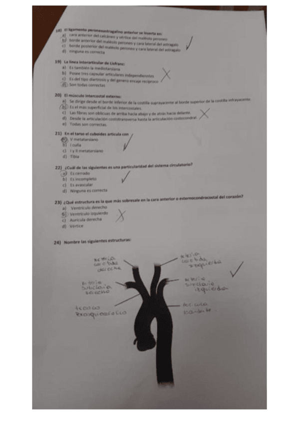 Miniatura del documento Parcial.pdf