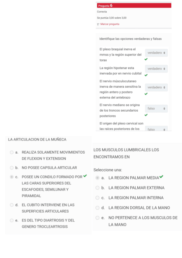 Miniatura del documento Mi-Parcial.pdf
