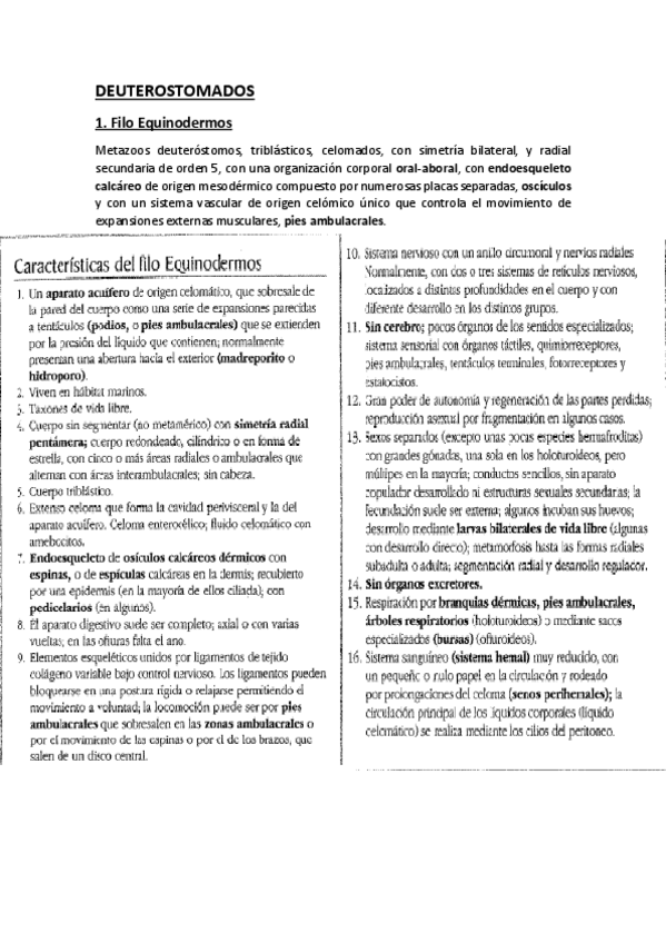 Miniatura del documento DEUTEROSTOMADOS.pdf