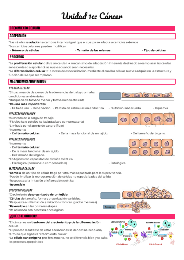 Miniatura del documento Unidad-1c-Cancer.pdf