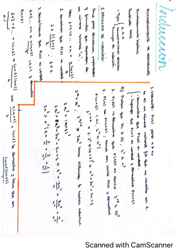 Miniatura del documento INDUCCION.pdf