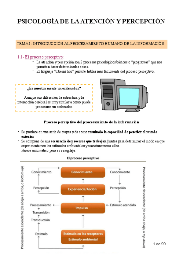Miniatura del documento psicologia-de-la-atencion-y-percepcion.pdf