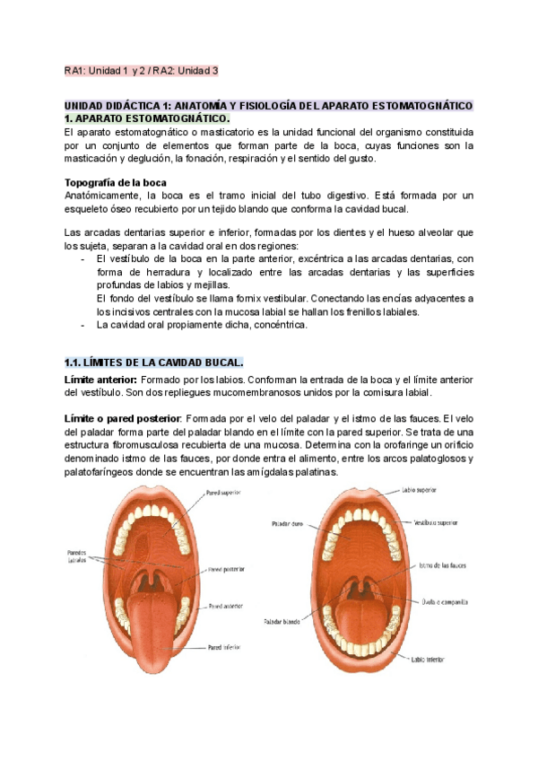 Miniatura del documento Diseno-Tema-1-2-y-3-RA1-y-2.pdf