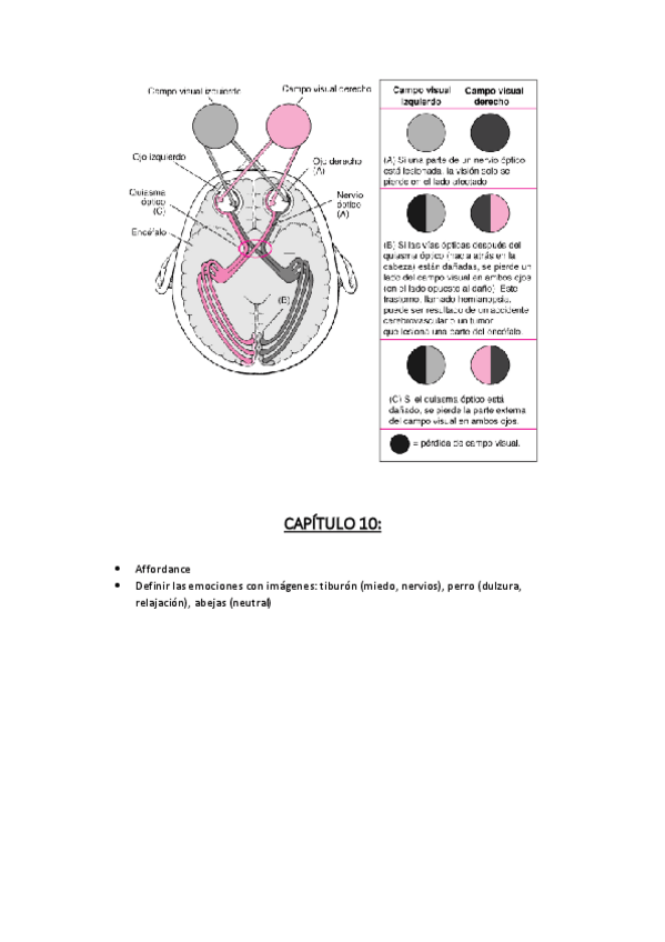 Miniatura del documento PSICOLOGÍA- Capítulo 10.pdf
