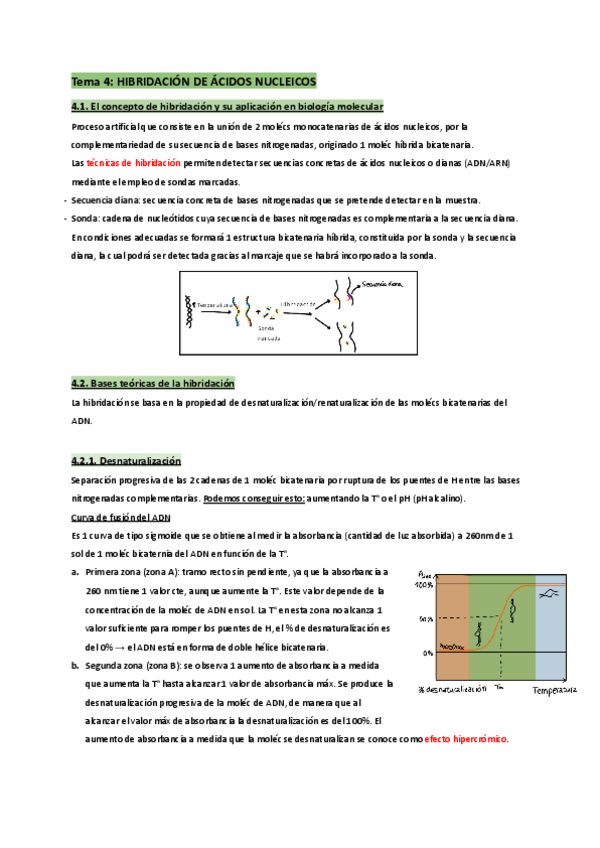 Miniatura del documento T.4-Biología molecular y citogenética.pdf