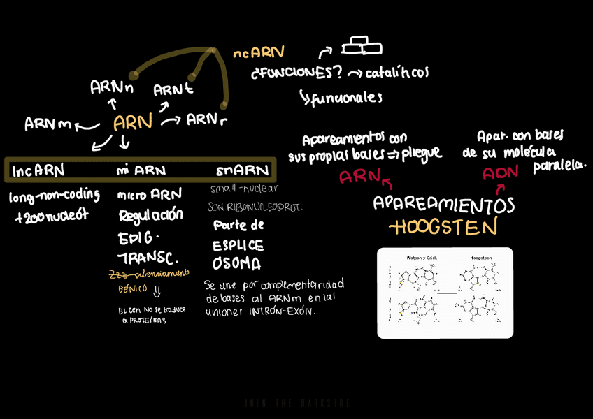 Miniatura del documento Esquemas-muy-utiles-de-genetica.pdf