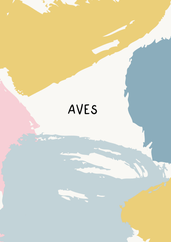 Miniatura del documento Aves-resumen.pdf