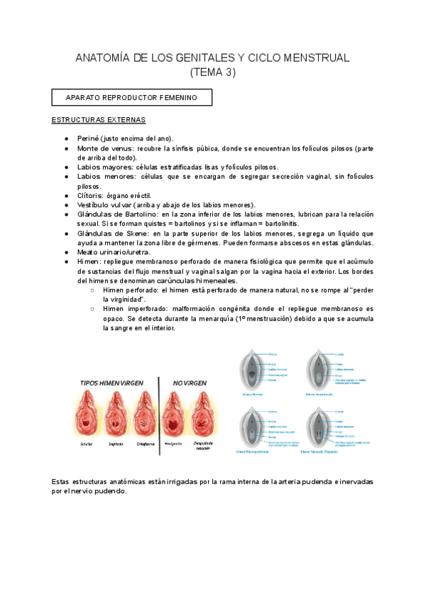 Miniatura del documento TEMA-3.pdf