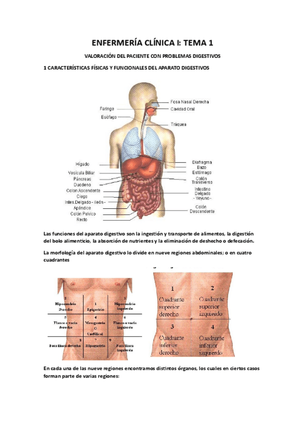 Miniatura del documento TEMA-1-VALORACION-DEL-PACIENTE-CON-ALTERACIONES-DIGESTIVAS.pdf