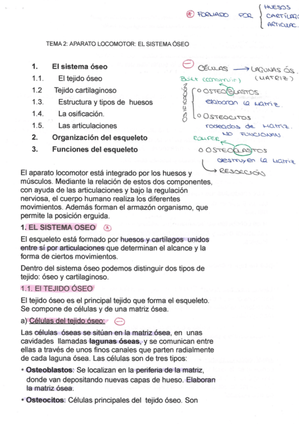 Miniatura del documento PROCESOS-TEMA-2.pdf