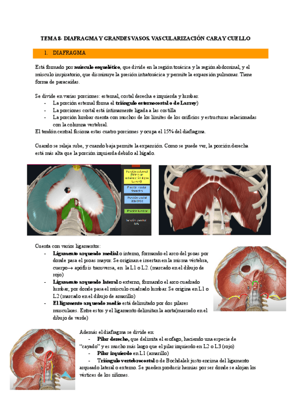 Miniatura del documento TEMA-8.pdf