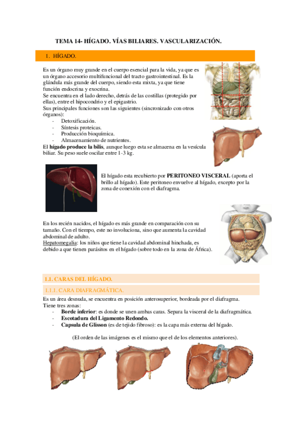 Miniatura del documento tema-14.pdf