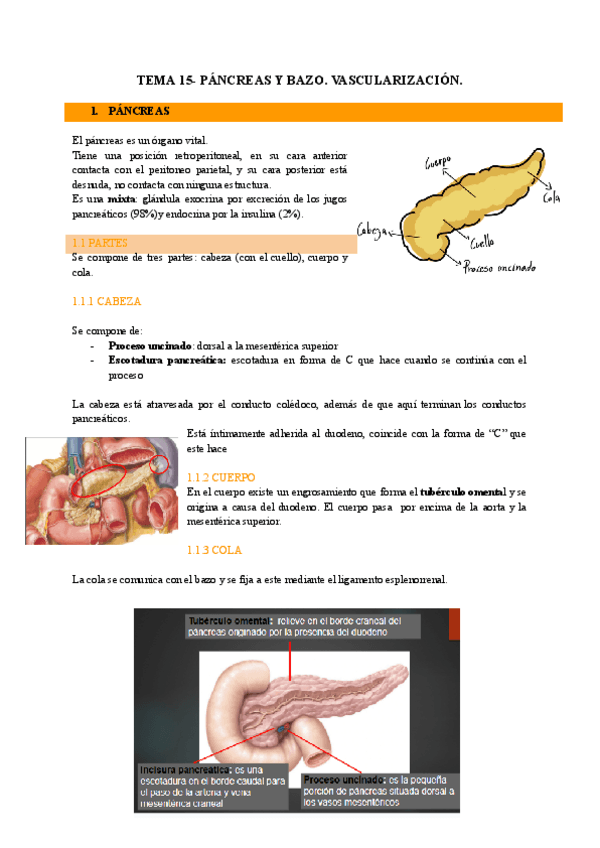 Miniatura del documento TEMA-15.pdf