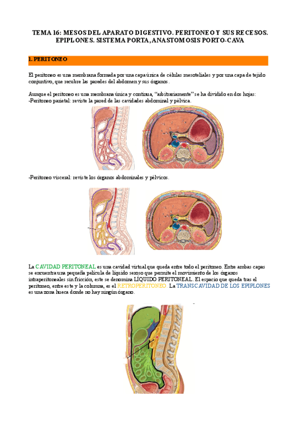 Miniatura del documento tema-16.pdf