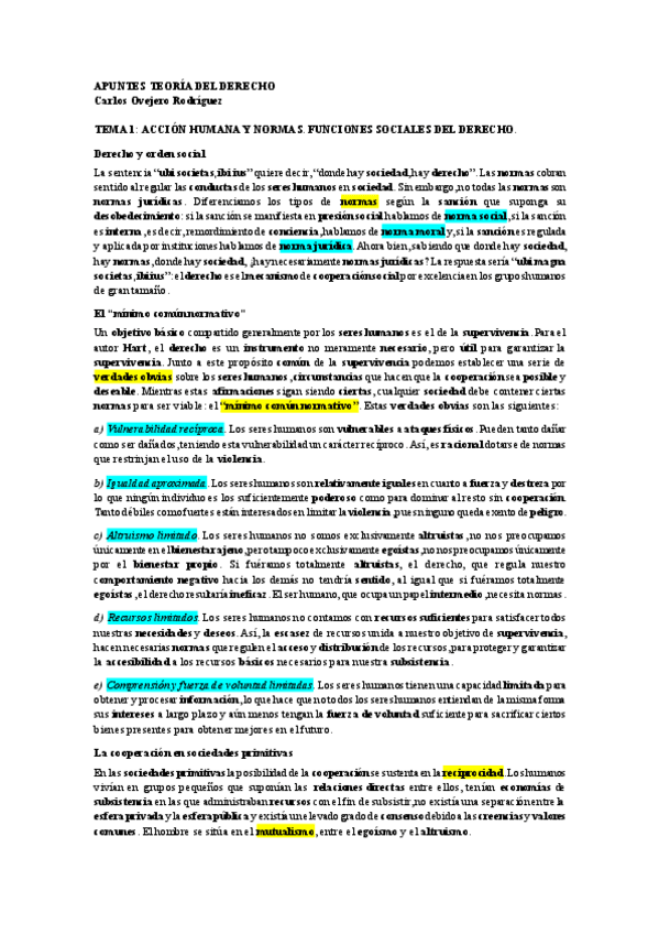 Miniatura del documento APUNTES TEORIA DEL DERECHO Matrícula de Honor (Juan Carlos Bayón).pdf