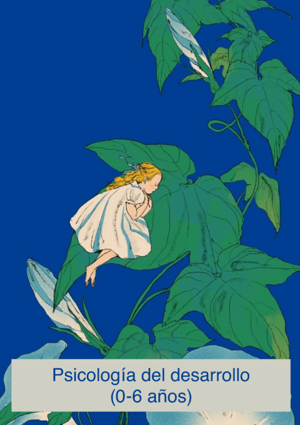 Miniatura del documento Esquemas-psicologia-del-desarrollo-1.pdf