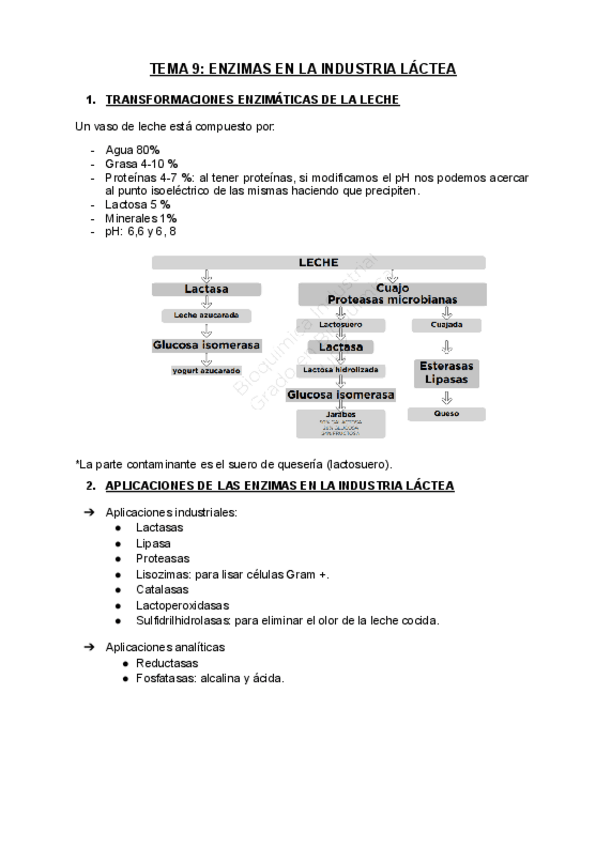 Miniatura del documento Tema-9.-Enzimas-en-la-industria-lactea.docx.pdf