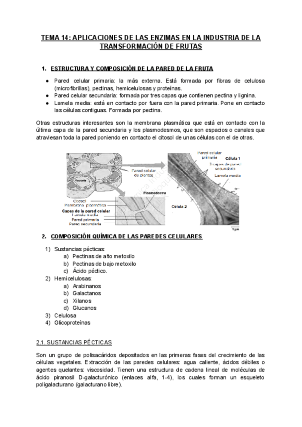 Miniatura del documento TEMA-14.-Aplicaciones-de-enzimas-en-la-idnustria-de-transformacion-de-frutas-1.pdf