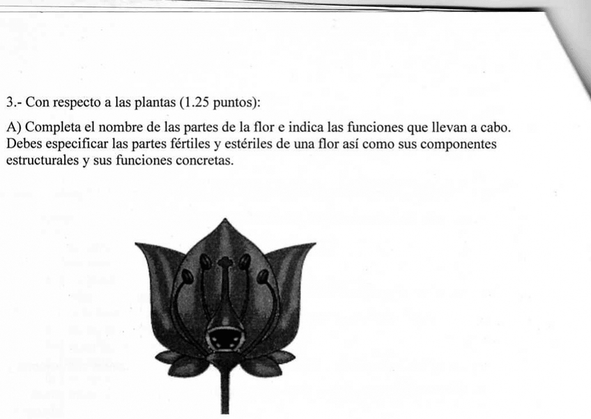 Miniatura del documento img278.jpg