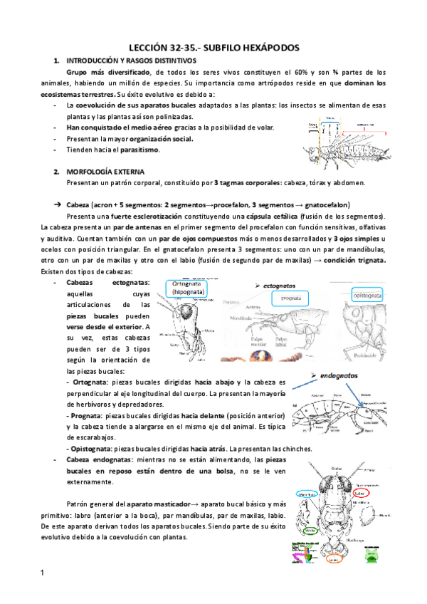 Miniatura del documento LECCION-32-35-ZOO.pdf