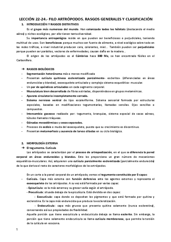 Miniatura del documento LECCION-22-24-ZOO.pdf