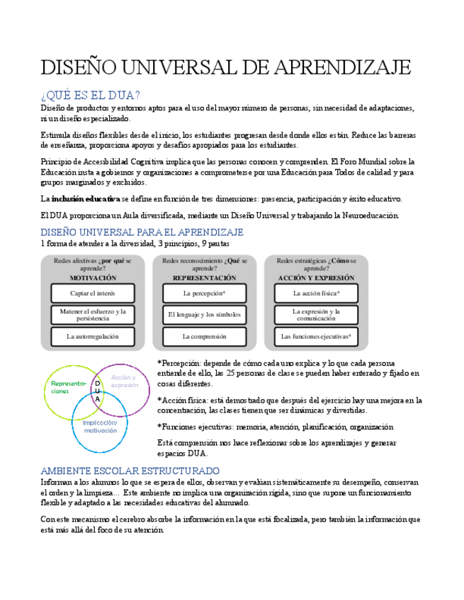 Miniatura del documento RESUMEN-DUA-ESTRATEGIAS.pdf