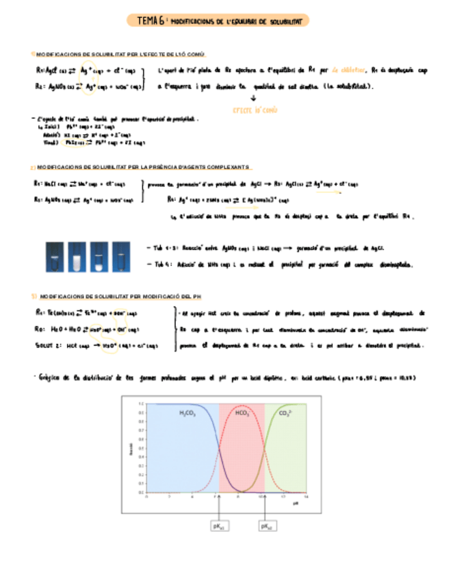 Miniatura del documento T6.pdf