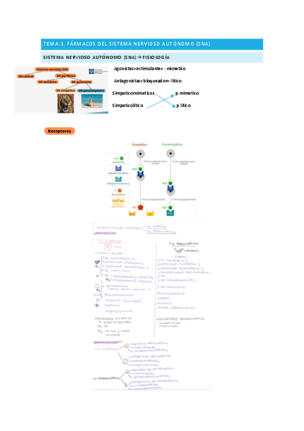 Miniatura del documento Tema-3-Farmacologia-aplicada.pdf