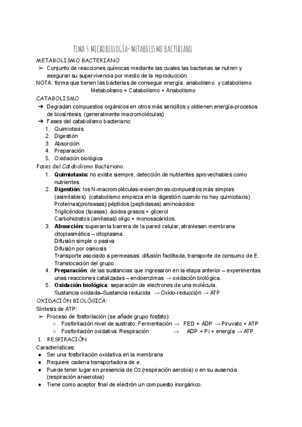 Miniatura del documento TEMA-5-MICROBIOLOGIA.pdf