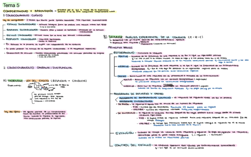 Miniatura del documento Tema-5-Psicologia.pdf