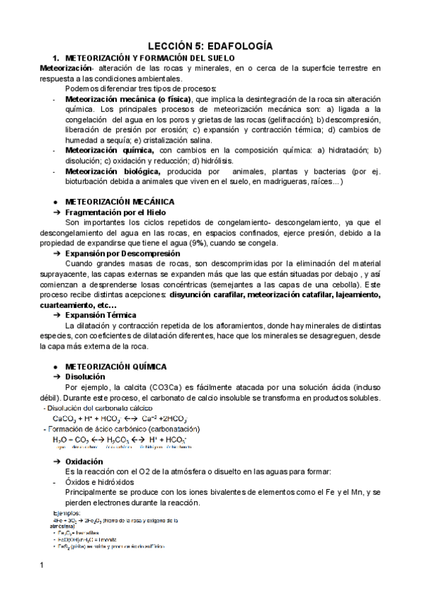 Miniatura del documento TEMA-5-GEO.pdf