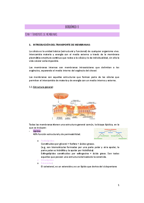 Miniatura del documento BIOQUIMICA-II-TEMARIO.pdf