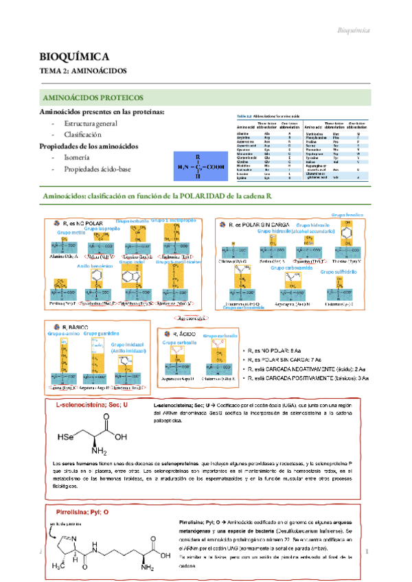 Miniatura del documento BIOQUIMICA-TEMA-2.pdf