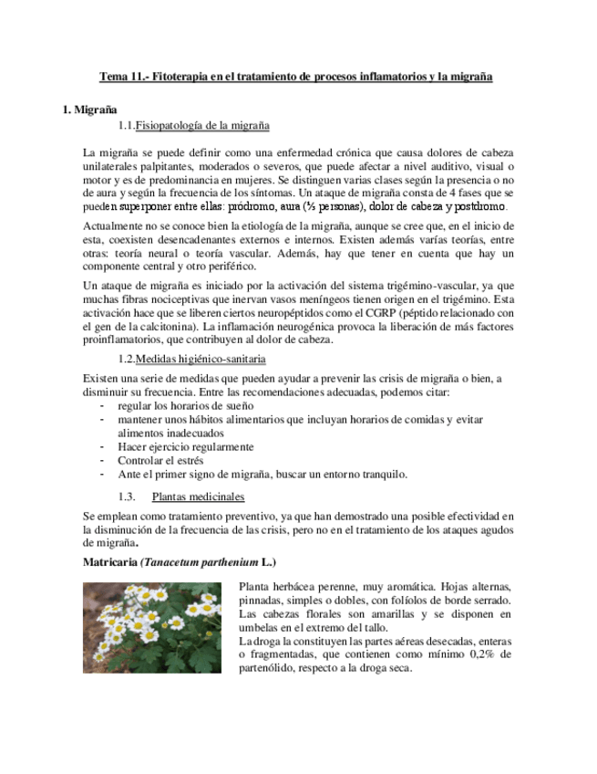 Miniatura del documento Tema-11-Fitoterapia-en-los-procesos-inflamatorios-y-la-migrana.pdf