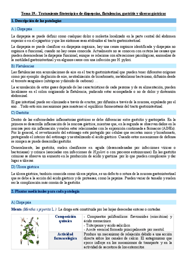 Miniatura del documento Tema-19.-Tratamiento-fitoterapico-de-dispepsias-flatulencias-gastritis-y-ulceras-gastricas.pdf