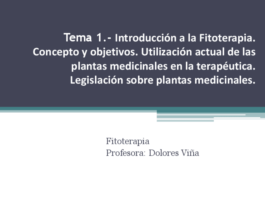 Miniatura del documento TEMA-1.-Intro.pdf