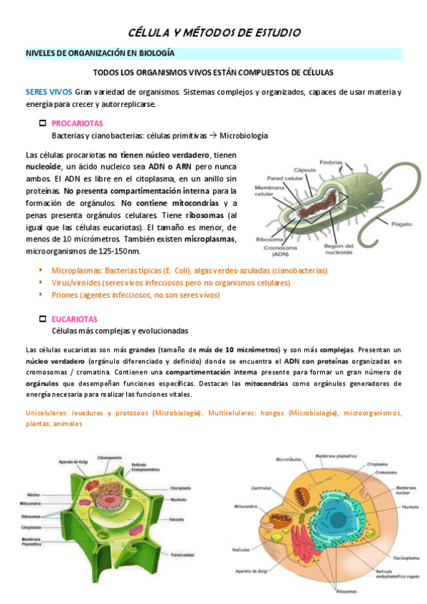 Miniatura del documento Biología Celular Apuntes.pdf