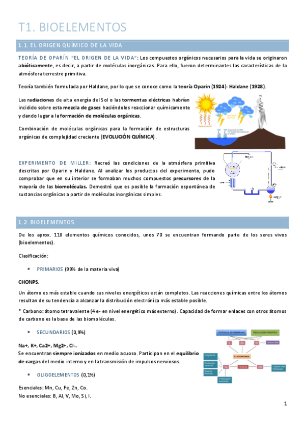 Miniatura del documento T1.-Biomoleculas.pdf