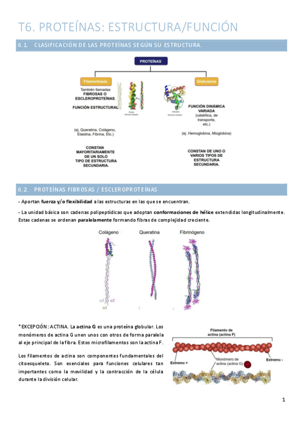 Miniatura del documento T6.-Proteinas.pdf