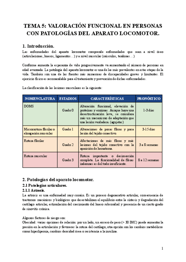 Miniatura del documento TEMA-5-VALORACION-FUNCIONAL-EN-PERSONAS-CON-PATOLOGIAS-DEL-APARATO-LOCOMOTOR.pdf