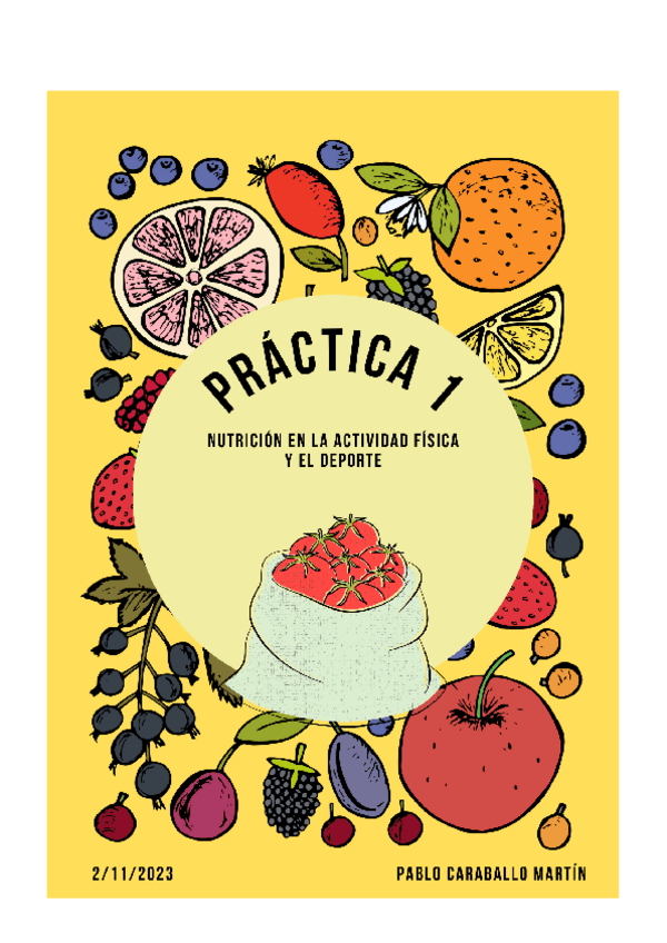 Miniatura del documento PRACTICA-1.pdf