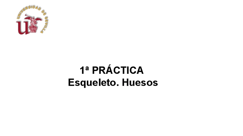 Miniatura del documento 1-PRACTICA-ESQUELETO.-HUESOS.pdf