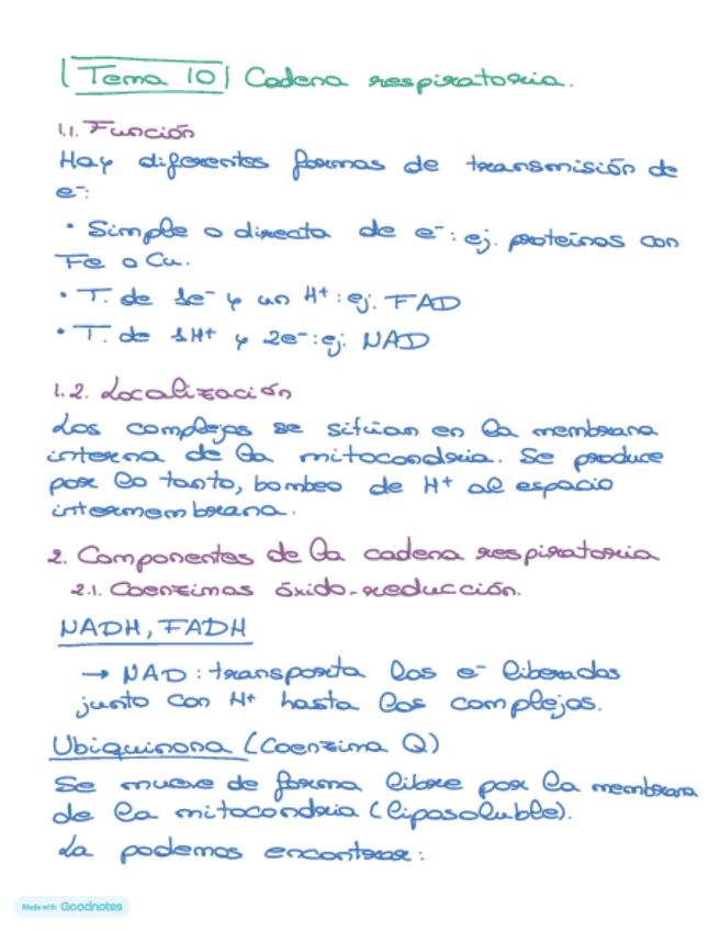 Miniatura del documento Bioquimica-tema-10.pdf