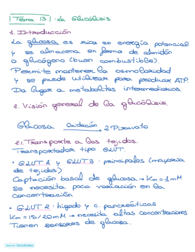 Miniatura del documento Bioquimica-tema-13.pdf