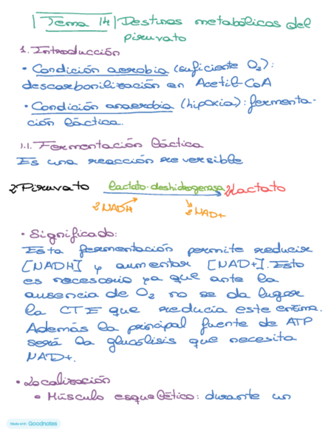 Miniatura del documento Bioquimica-tema-14.pdf