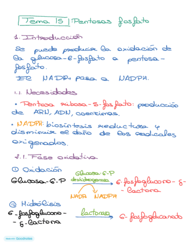 Miniatura del documento Bioquimica-tema-15.pdf