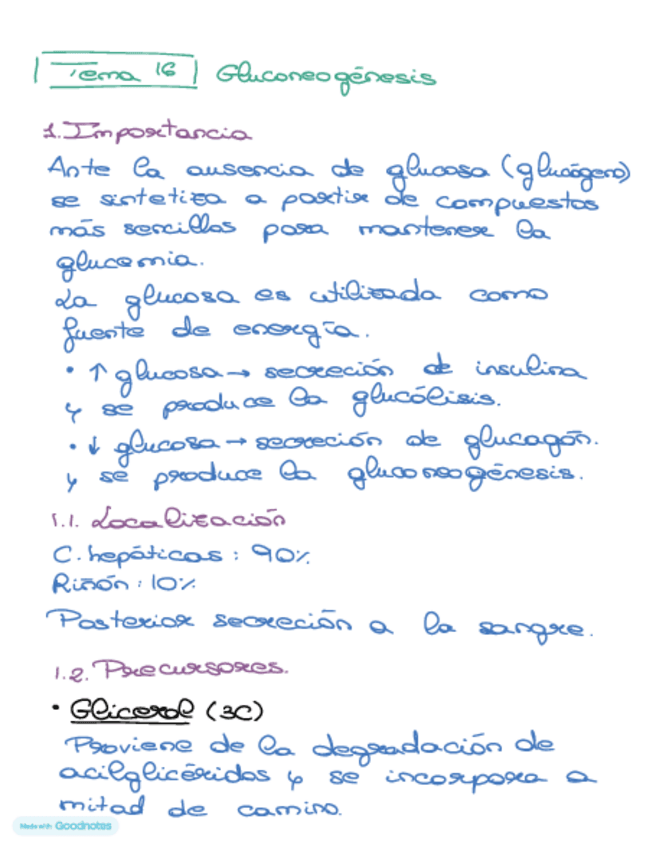 Miniatura del documento Bioquimica-tema-16.pdf
