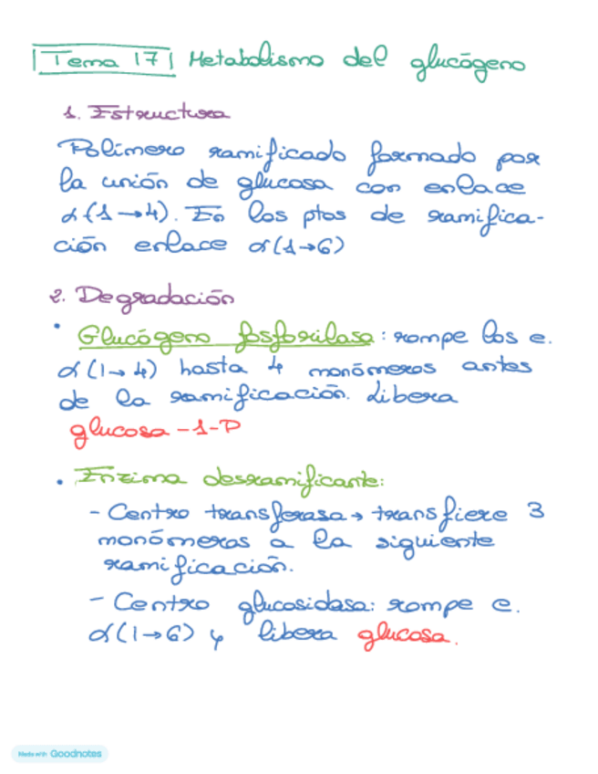 Miniatura del documento Bioquimica-tema-17.pdf